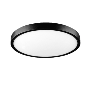 Потолочный светодиодный светильник PNT-101 24W черный "iSvet"