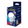 LED-A60 12W/DW/E27/FR PLP01WH Лампа светодиодная. Форма «А», матовая. Серия Яркая. Дневной свет (650