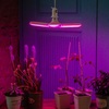 LED-P65-24W/SPSB/E27/FR/P3 PLP32WH Лампа светодиодная для растений. для рассады и цветения. Uniel,