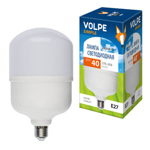 LED-M80-40W/DW/E27/FR/S Лампа светодиодная. Матовая. Серия Simple 6500K
